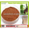 NATURAL MULBERRY LEAF EXTRACT POWDER